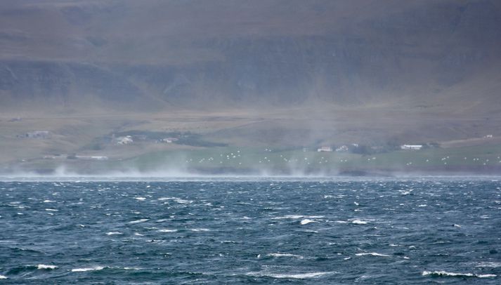 Vindur ýfir upp sjó í Hvalfirði.