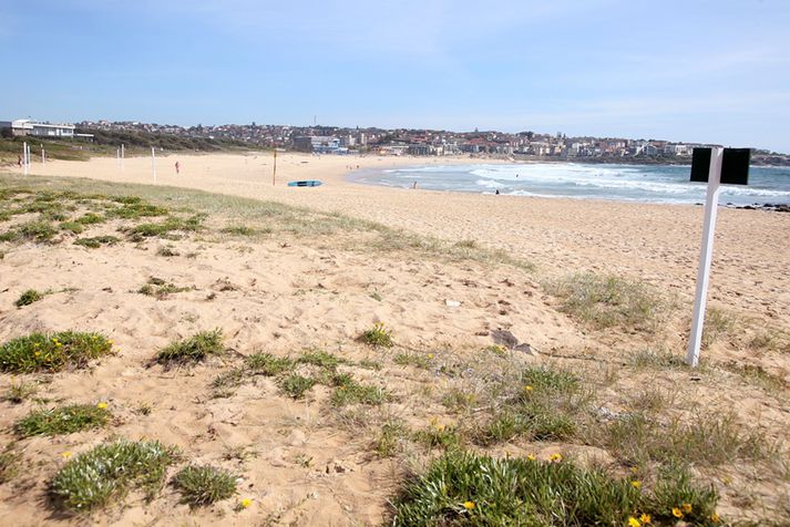 Maroubra-strönd í Sydney í Ástralíu.