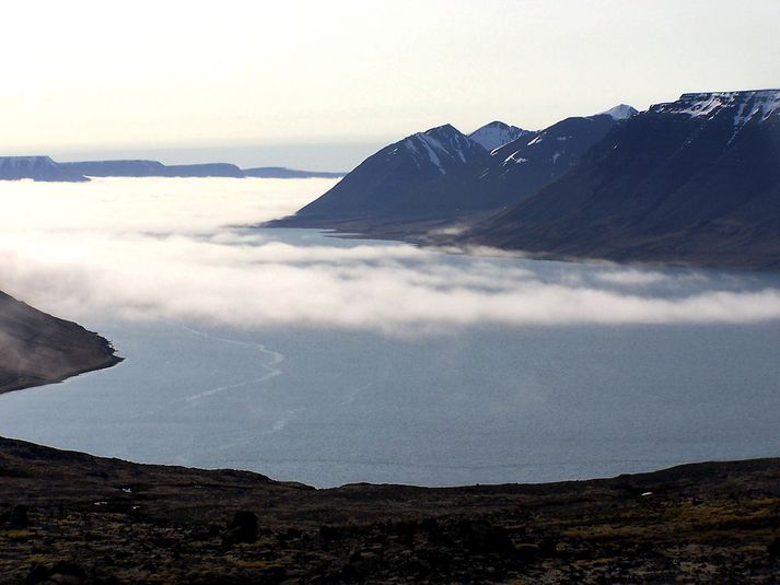 Lífríkið þarf minnst 6 mánaða hvíld eftir að slátrað er úr laxeldiskvíum. 