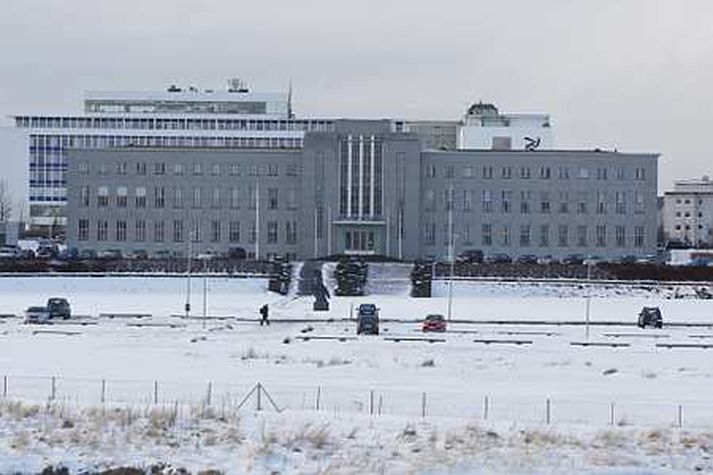 Háskóli Íslands.