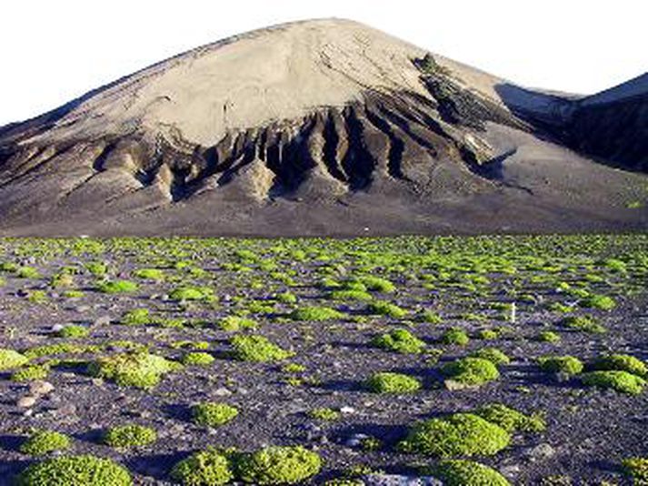 Surtsey
