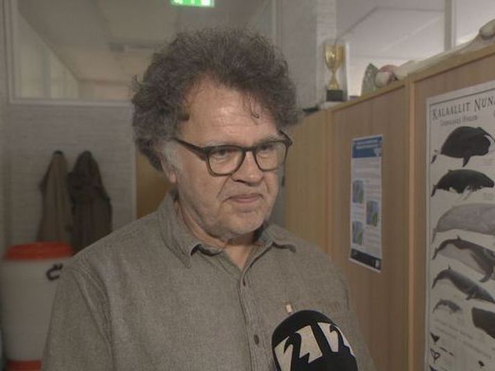 Gísli Víkingsson, hvalasérfræðingur, er látinn 65 ára að aldri.