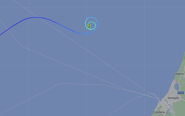 Talið er að sjálfstýring flugvélarinnar hafi haldið henni á lofti þar til hún varð eldsneytislaus.