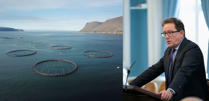 Kristján Þór Júlíusson er harðlega gagnrýndur vegna draga hans að frumvarpi um breytingu laga sem snýr að fiskeldi, líkt og þessu í Patreksfirði.