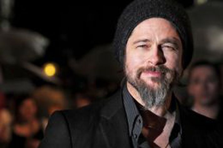 Pitt hefur keypt kvikmyndaréttinn að bókinni The Imperfectionist eftir Tom Rachman.