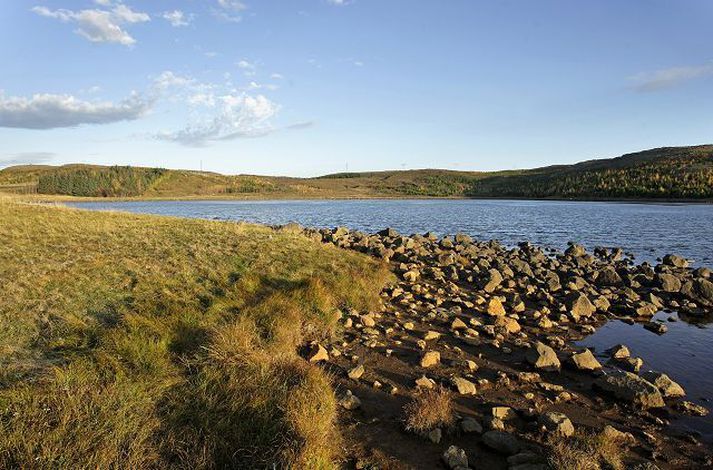 Reynisvatn við Grafarholt.