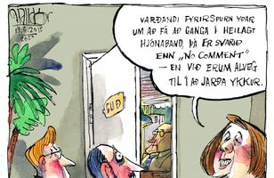 Fréttamynd