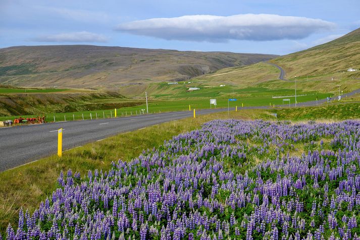 Hlýjast verður líklega á austurhluta landsins.