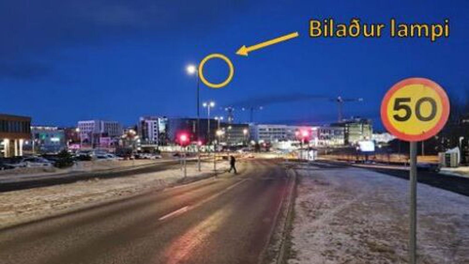 Ók gegn rauðu ljósi þegar kona á ní­ræðis­aldri lést