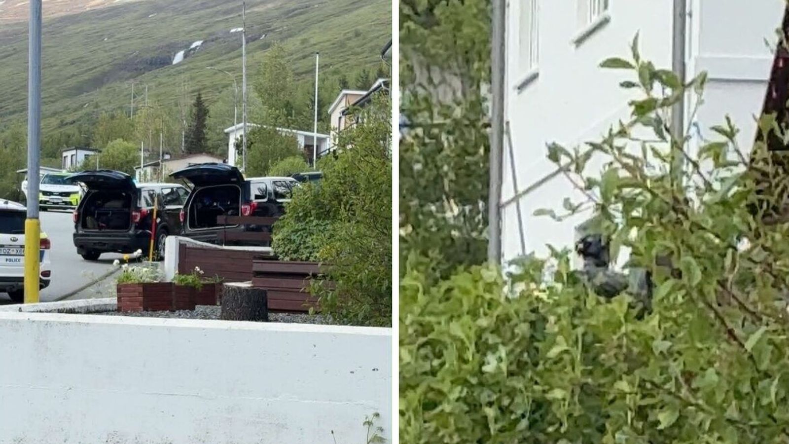 Sérsveitaraðgerð á Eski­firði