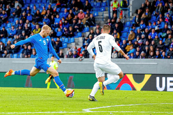 Landsliðsframherjinn Sveinn Aron Guðjohnsen kom inn á sem varamaður hjá sænska liðinu Elfsborg í kvöld.