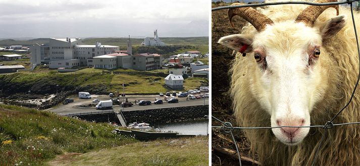 Allt lék á reiðiskjálfi í Stykkishólmi um síðustu helgi.