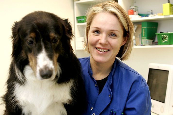 Ólöf Loftsdóttir er fagdýralæknir gæludýrasjúkdóma.