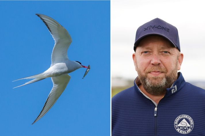 Ólafur Þór Ágústsson, framkvæmdastjóri GK, samdi við kríuger að yfirgefa svæðið vegna Íslandsmótsins.