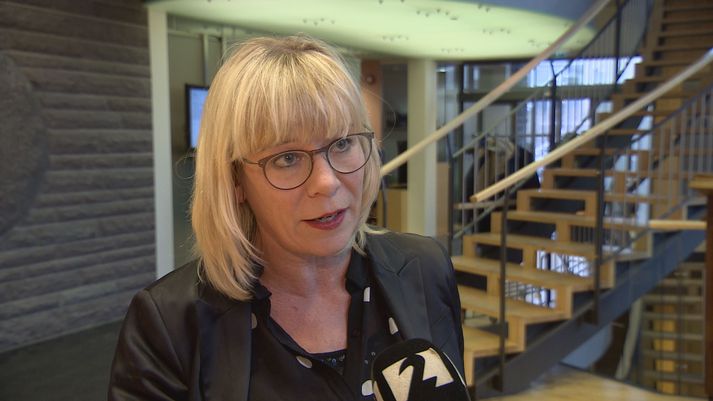 Vigdís Hauksdóttir er formaður Fjárlaganefndar