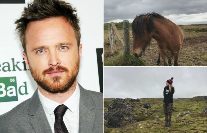 Aaron Paul lék Jesse Pinkman í þáttunum.