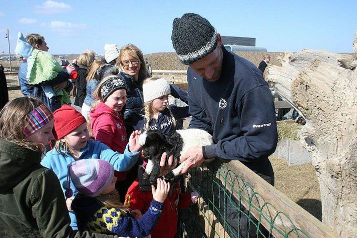 Kiðlingar vöktu mikla lukku við opnun dýragarðsins.