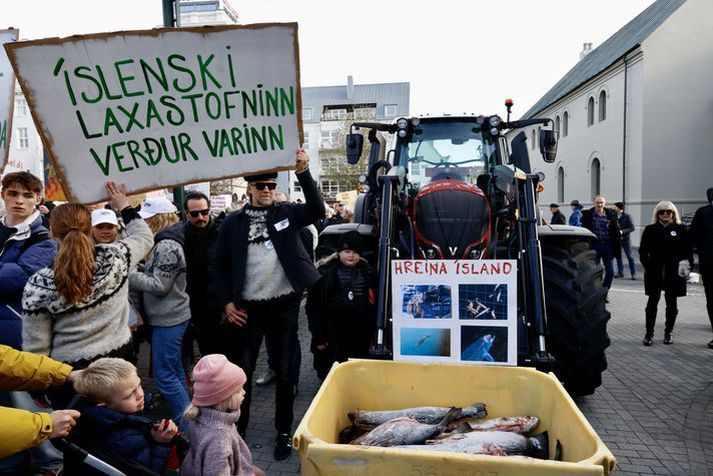 Frá mótmælum gegn sjókvíaeldi á Austurvelli sem fóru fram í gær. 