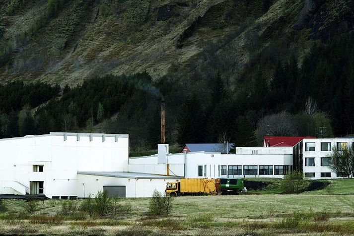 Hreinsibúnaður var ófullkominn og magn dioxíns sem barst frá sorpbrennslunni var því of mikið. Þáverandi umhverfisráðherra ræsti ofninn á árinu 2003.