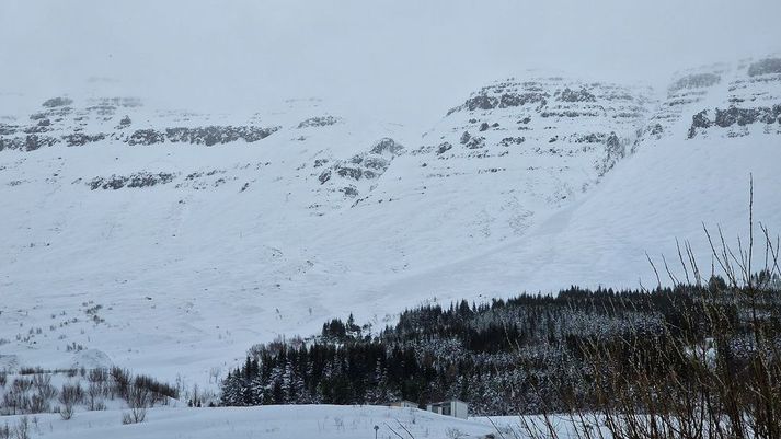 Ofanflóðasérfræðingur telur hættuna af stórum snjóflóðum liðna hjá á Austfjörðum en varar áfram við krapaflóðum og skriðuföllum. 