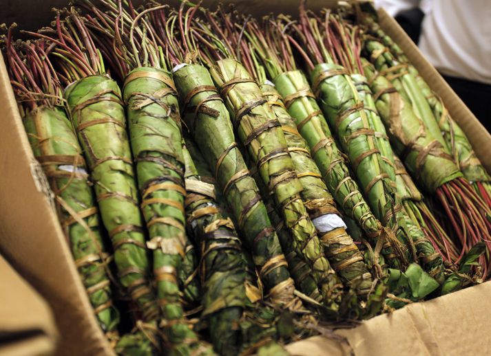 Khat veldur vægum örvunaráhrifum, líkt og koffein gerir.