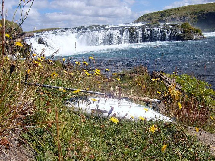 Svona vilja veiðimenn hafa umhorfs þegar þeir heimsækja bakka Ytri-Rangár.