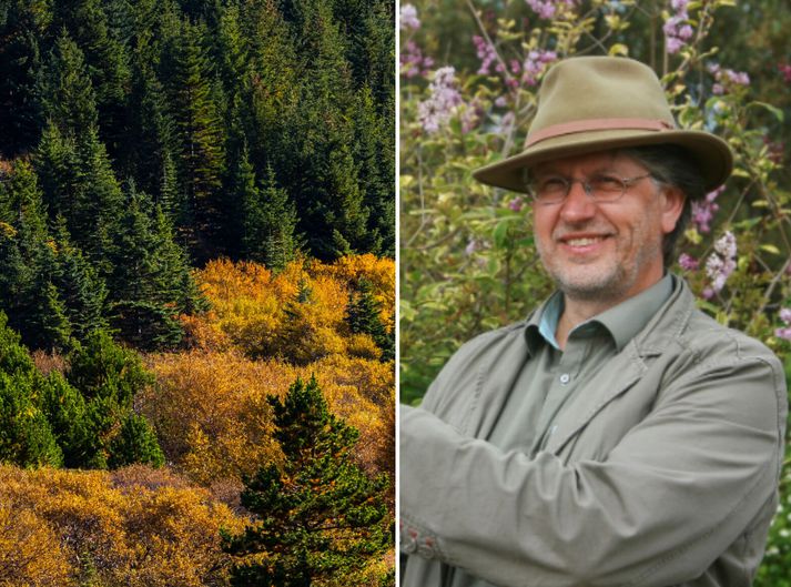 Brynjólfur Jónsson, framkvæmdastjóri Skógræktarfélags Íslands.