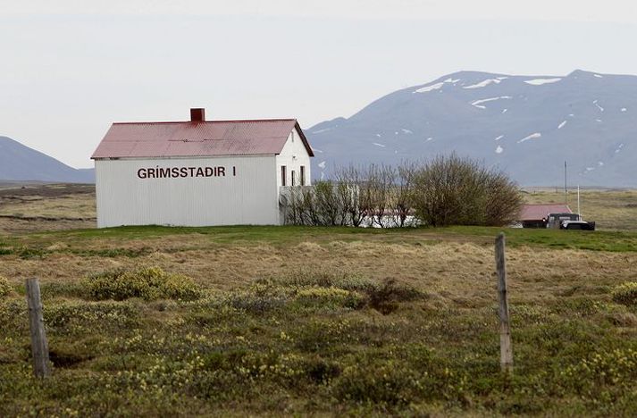 Grímsstaðir á Fjöllum verða auglýstir til sölu á Evrópska efnahagsvæðinu á næstu dögum að sögn eigenda meirihluta jarðarinnar.