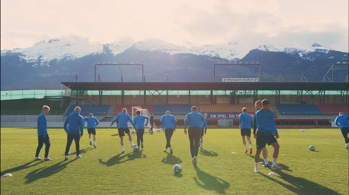 Alpaloftið fór vel með strákana.