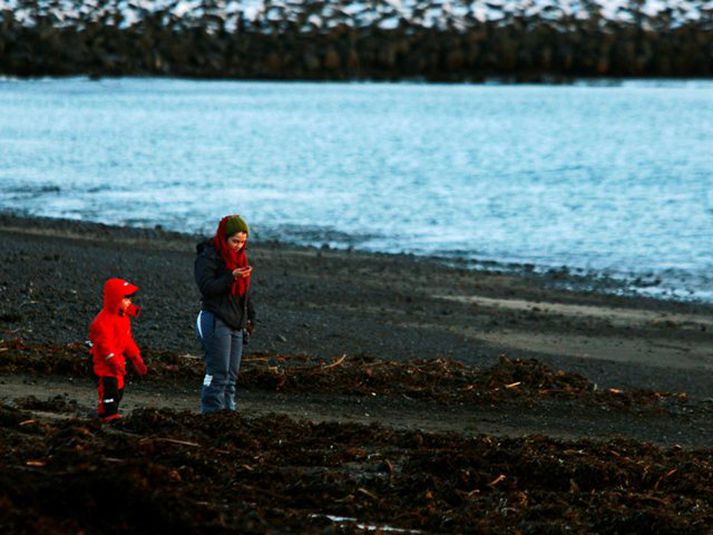 Ætla að lang flest sveitarfélög hreinsi sínar strendur reglulega, enda telja flest sveitarfélög að mikið rusl safnist fyrir á ströndum.