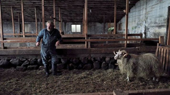 Hrútar fjalla um bræðurna Gumma, sem Sigurður Sigurjónsson leikur, og Kidda en þeir eru báðir sauðfjárbændur og búa hlið við hlið í afskekktum dal en talast ekki við.