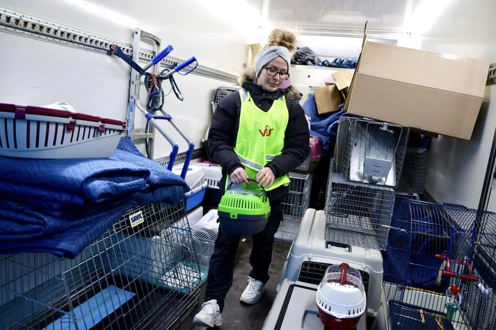 Sjálfboðaliðar á vegum dýraverndarsamtaka biðu átekta í gær og vonuðust eftir því að komast inn í Grindavík til að bjarga dýrum. Ekkert varð úr því.