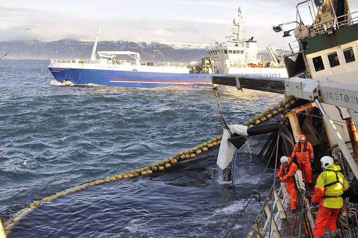 Á sjó Mesta aukningin á síðasta ári var í loðnuafla. Þrefalt meira veiddist af loðnu en árið 2010. Fréttablaðið/Óskar