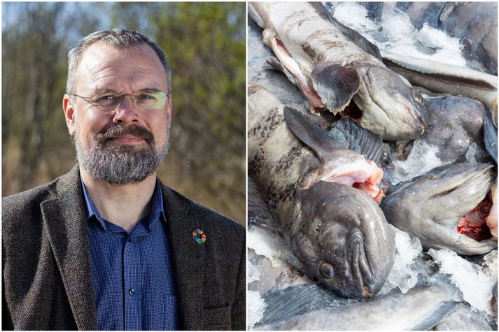 Daði Már segir verðmyndun á fiski gallaða. Á hinni samsettu mynd má sjá steinbít, þá verðmætu sjávarafurð.