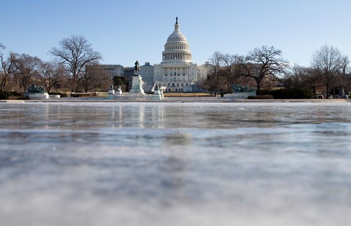 Tjörnin framan við bandaríska þinghúsið í Washington var orðin að fínasta skautasvelli.