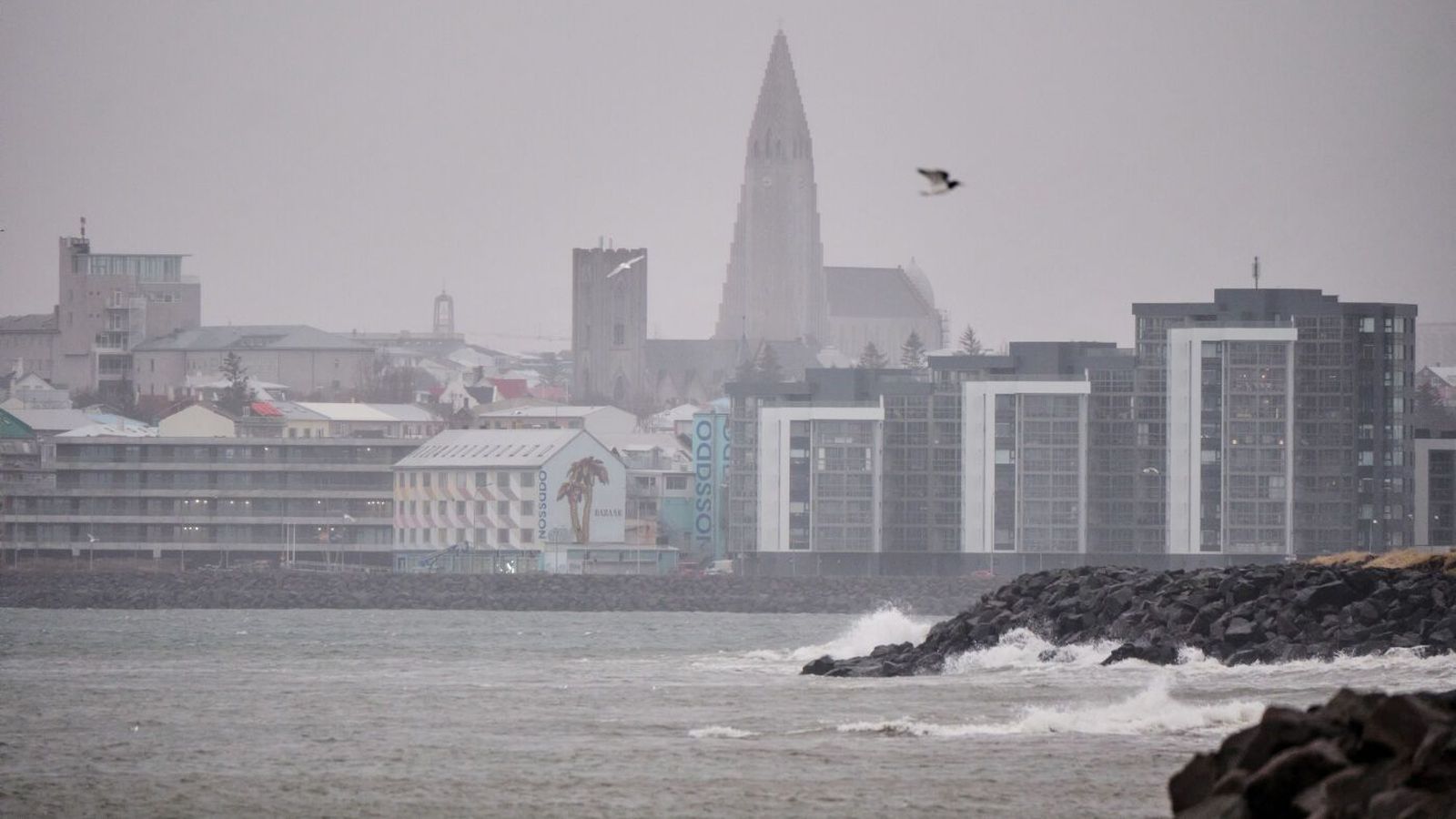 Eldingu laust niður á höfuð­borgar­svæðinu