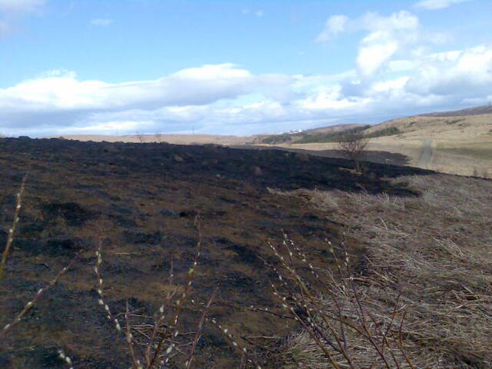 Sviðin jörð blasir við nærri Hvaleyrarvatni eftir brunann í nótt.