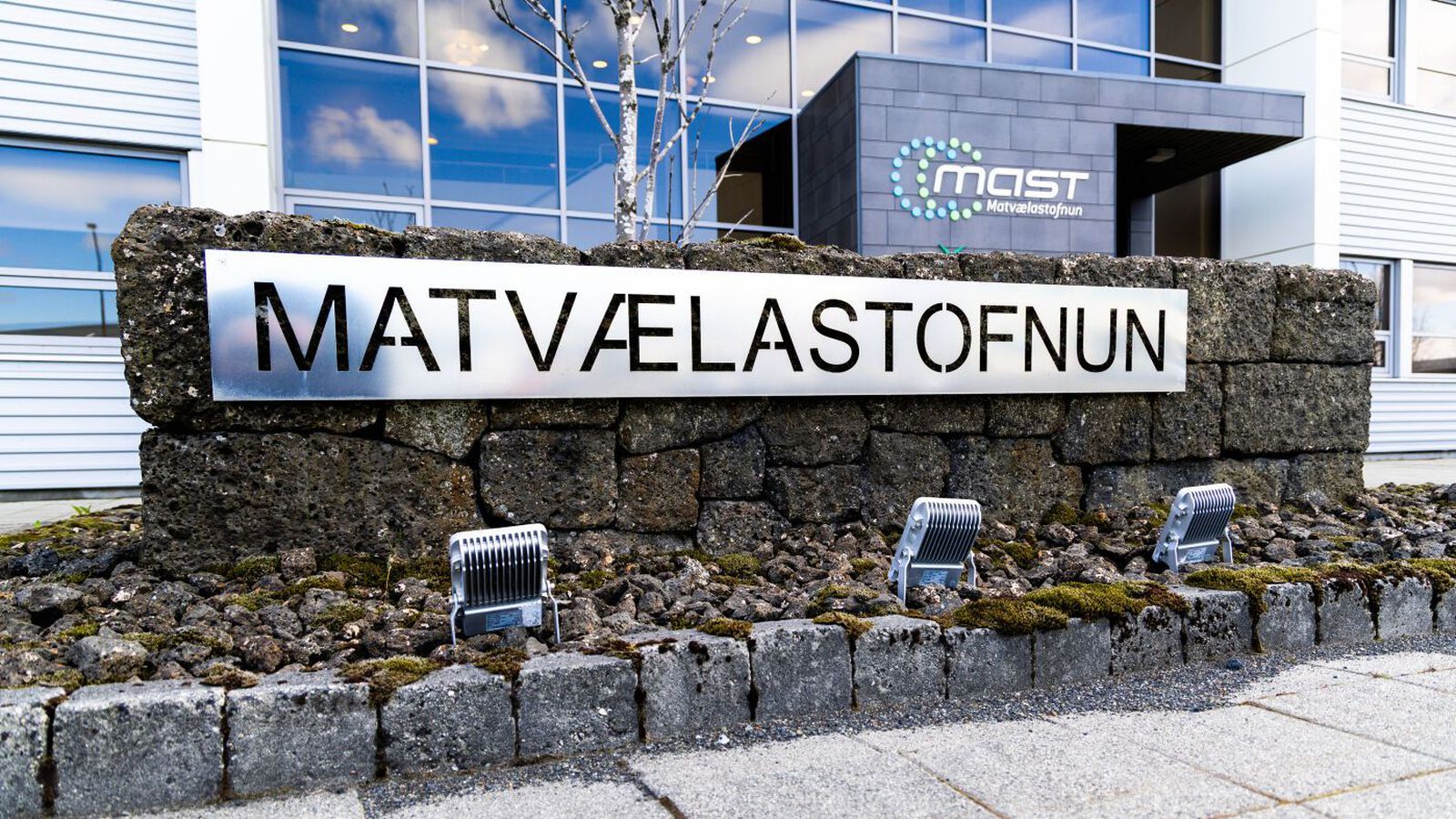 Mátti ekki binda nautin í tvo mánuði fyrir slátrun