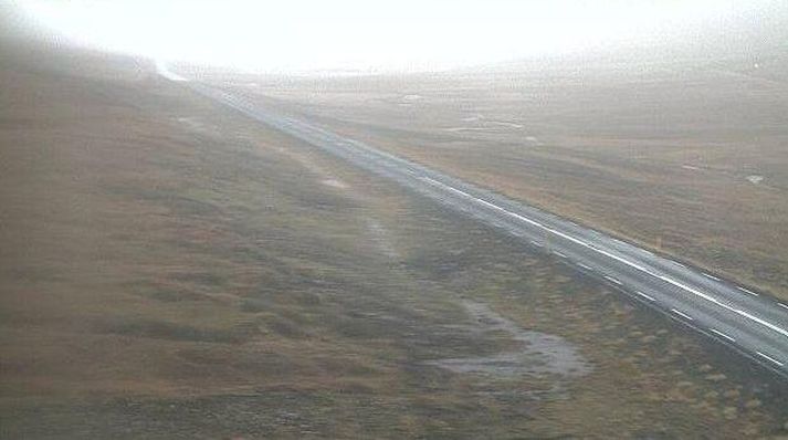 Svona var veðrið á Fagradal klukkan ellefu.
