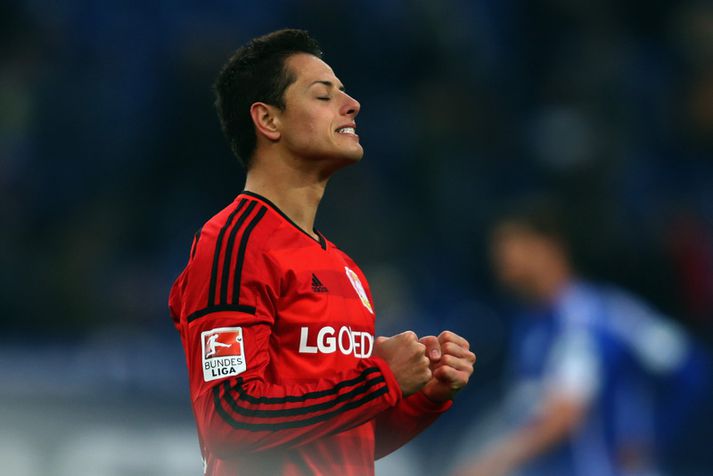 Javier Hernandez fagnar marki í leik með Bayer Leverkusen.