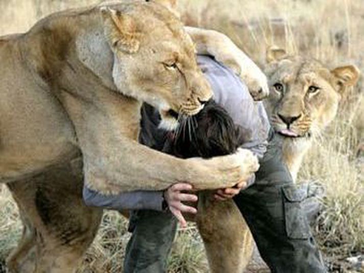 Kevin Richardson með bestu vinum sínum.