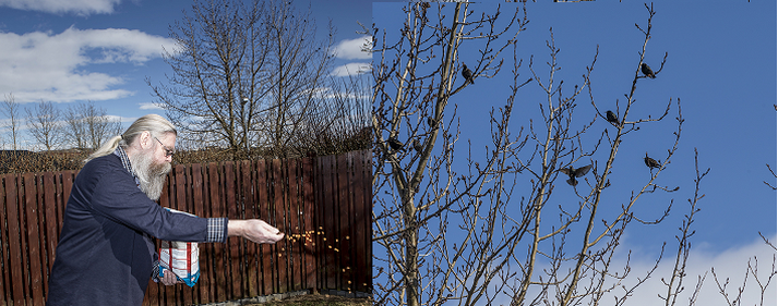 Gunnar gefur smáfuglunum