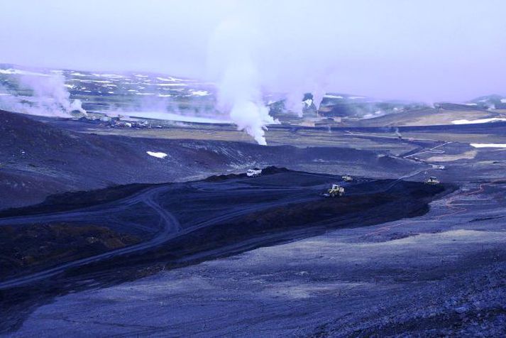 Stjórn Landverndar hefur farið frama á að Landsvirkjun stöðvi nú þegar framkvæmdir fyrirtækisins við fyrirhugaða Bjarnarflagsvirkjun þar til rammaáætlun hefur verið samþykkt á Alþingi.