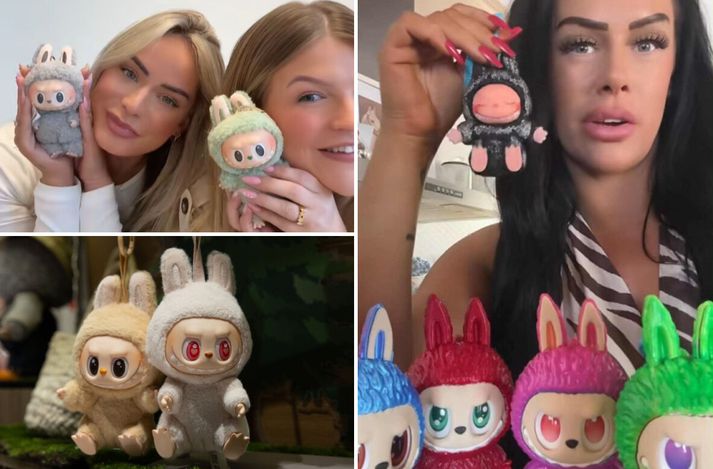 Labubu dýrin svokölluðu hafa vart farið framhjá notendum TikTok undanfarnar vikur. Krúttleg og skemmtileg leikföng eða enn ein birtingarmynd neysluhyggjunnar? Sitt sýnist hverjum. 