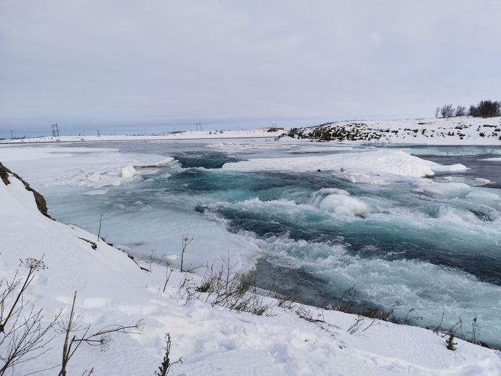 Ölfusá hefur verið svo gott sem ísilögð undanfarið. Mikil sveifla í hita gerir það að verkum að reiknað er með miklu flæði í ánni.