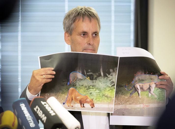 Michael Grubert, bæjarstjóri Kleinmachnow, á blaðamannafundi í dag. Hann mætti með útskýringarmyndir sem eiga að sanna að dýrið á myndbandinu sé svín en ekki ljón.