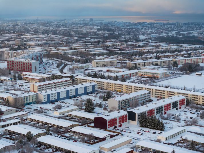 Stærsta eignin í dánarbúinu var fasteign sem lögmaðurinn þurfti að koma í verð.