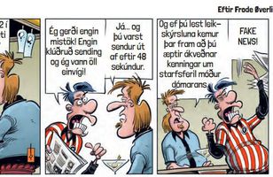 Fréttamynd