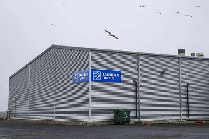 Mynd úr safni af fiskeldisstöð Samherja í Sandgerði.