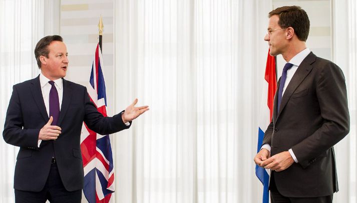 David Cameron og Mark Rutte, forsætisráðherra Hollands.